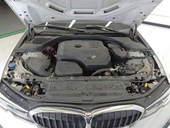 BMW 3 Series 320Li M Sports Package - фото 10