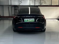 Tesla Model 3 Edition - фото 12