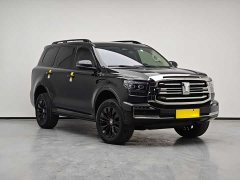 Tank 500 3.0T Black Warrior Limited Edition 5 seats - фото 2