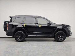 Tank 500 3.0T Black Warrior Limited Edition 5 seats - фото 20