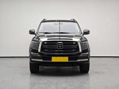 Tank 500 3.0T Black Warrior Limited Edition 5 seats - фото 3