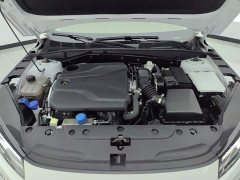 Changan 1.5T GDI Premium Version - фото 10