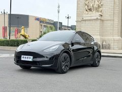 Tesla Model Y Edition - фото 1