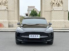 Tesla Model Y Edition - фото 2