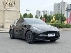 Tesla Model Y Edition - фото 3