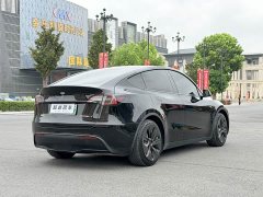 Tesla Model Y Edition - фото 7