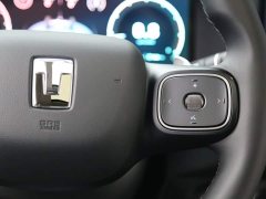 Tank 300 Hi4-T 37.1kWh - фото 18