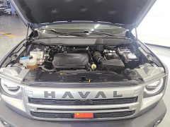 Haval Big Dog 1.5T DCT Border Collie Edition - фото 10