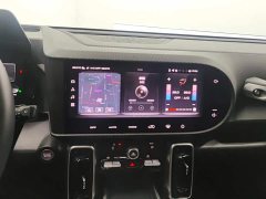 Haval Big Dog 1.5T DCT Border Collie Edition - фото 13