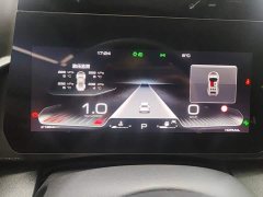 Haval Big Dog 1.5T DCT Border Collie Edition - фото 14