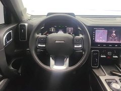 Haval Big Dog 1.5T DCT Border Collie Edition - фото 15