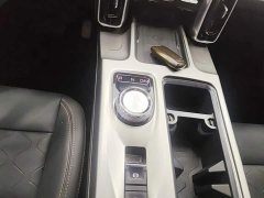 Haval Big Dog 1.5T DCT Border Collie Edition - фото 16