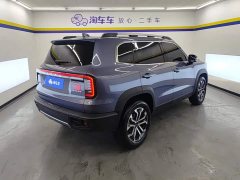 Haval Big Dog 1.5T DCT Border Collie Edition - фото 3