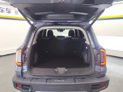 Haval Big Dog 1.5T DCT Border Collie Edition - фото 4