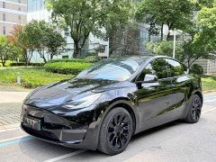 Tesla Model Y Edition - фото 1