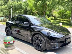 Tesla Model Y Edition - фото 3