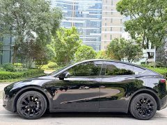Tesla Model Y Edition - фото 4