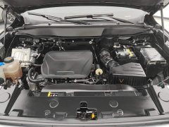 Haval Big Dog 1.5T DCT Border Collie Edition - фото 10