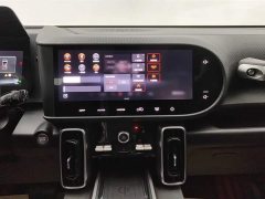 Haval Big Dog 1.5T DCT Border Collie Edition - фото 13