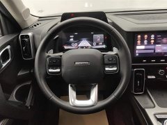 Haval Big Dog 1.5T DCT Border Collie Edition - фото 15