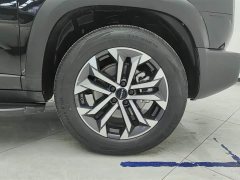 Haval Big Dog 1.5T DCT Border Collie Edition - фото 6
