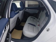Tesla Xingrui 2.0TD Premium - фото 11