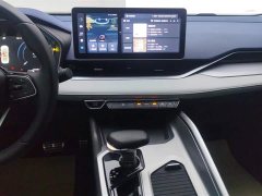 Tesla Xingrui 2.0TD Premium - фото 13