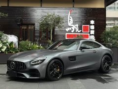 Mercedes-Benz AMG GT 2019 AMG GT - фото 1