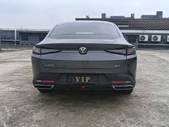 Changan 1.5T GDI Edition - фото 14