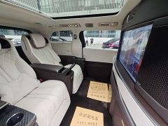 Denza D9 PIONEER Edition - фото 20