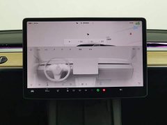 Tesla Model 3 Edition - фото 12