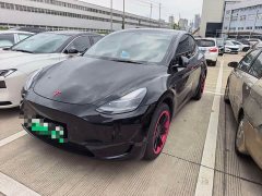 Tesla Model Y Edition - фото 1