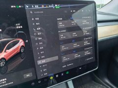 Tesla Model Y Edition - фото 2