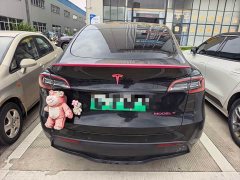 Tesla Model Y Edition - фото 6