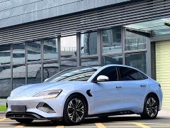 BYD 550km Standard Range EditionPremium Version - фото 1