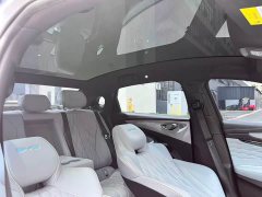 BYD 550km Standard Range EditionPremium Version - фото 9