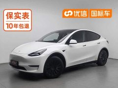 Tesla Model Y Long Range Edition - фото 1