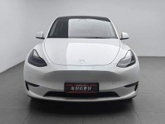 Tesla Model Y Long Range Edition - фото 3
