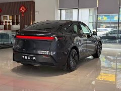 Tesla Model Y Edition - фото 7