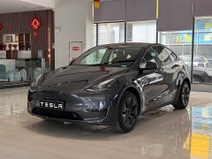 Tesla Model Y Edition - фото 1