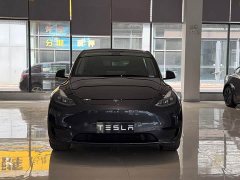 Tesla Model Y Edition - фото 2