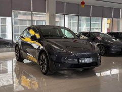 Tesla Model Y Edition - фото 3