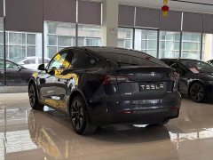 Tesla Model Y Edition - фото 7