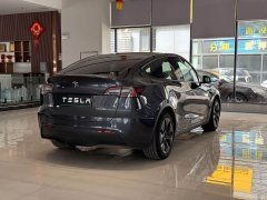 Tesla Model Y Edition - фото 9
