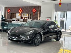 Tesla Model 3 Edition - фото 1