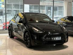 Tesla Model Y Edition - фото 2