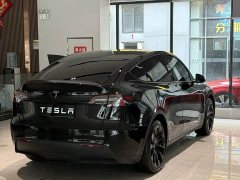 Tesla Model Y Edition - фото 7
