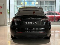 Tesla Model Y Edition - фото 9