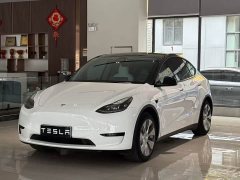 Tesla Model Y Edition - фото 1