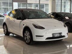 Tesla Model Y Edition - фото 2